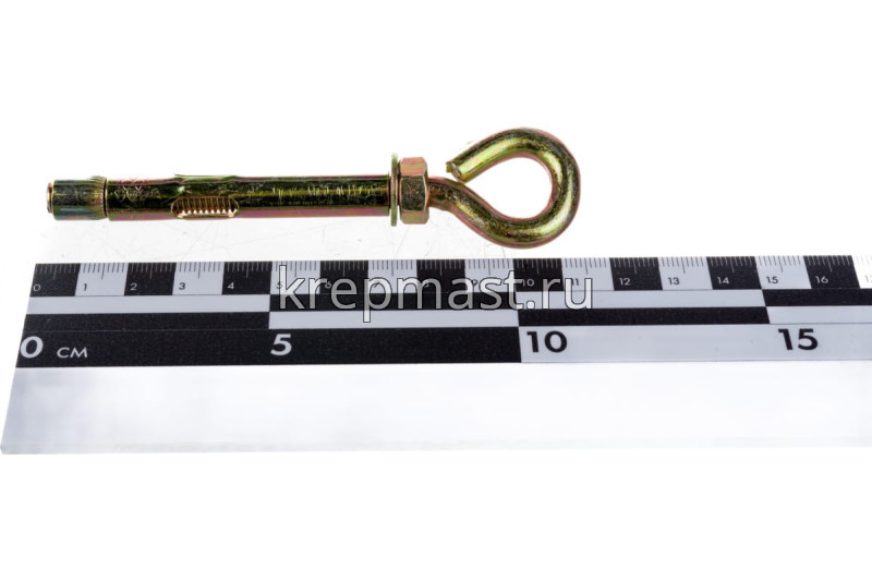 Анкерный болт с кольцом 10х 80