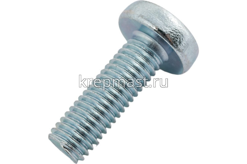 Винт п/цил 8.0х25 DIN 7985